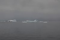 
DSC00011